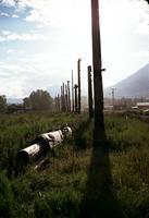 Totem Poles at Gitwangak