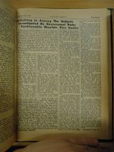 DSC01954-Thumbnail Image.jpg