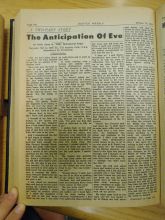 DSC03140-Thumbnail Image.jpg