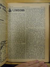 DSC03164-Thumbnail Image.jpg