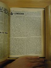 DSC03417-Thumbnail Image.jpg