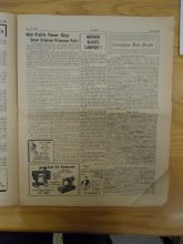 DSC04220-Thumbnail Image.jpg
