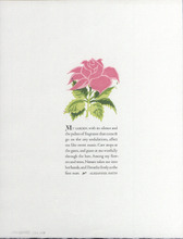 JR30009-Thumbnail Image.jpg