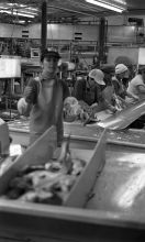 MSC179-01751-Thumbnail Image.jpg
