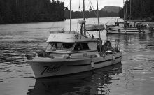 MSC179-03250-Thumbnail Image.jpg