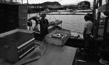 MSC179-03280-Thumbnail Image.jpg
