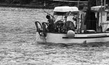 MSC179-03372-Thumbnail Image.jpg