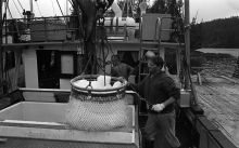 MSC179-03399-Thumbnail Image.jpg