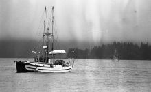MSC179-03415-Thumbnail Image.jpg