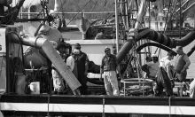 MSC179-03426-Thumbnail Image.jpg