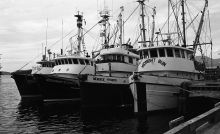MSC179-03433-Thumbnail Image.jpg