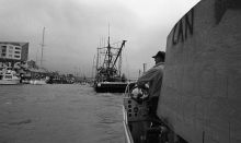 MSC179-03475-Thumbnail Image.jpg