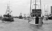 MSC179-03489-Thumbnail Image.jpg