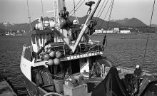 MSC179-04357-Thumbnail Image.jpg