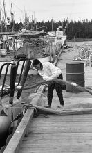 MSC179-06830-Thumbnail Image.jpg