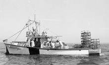MSC179-07331-Thumbnail Image.jpg