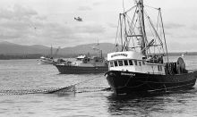 MSC179-25152-Thumbnail Image.jpg