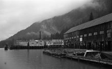 MSC179-25224-Thumbnail Image.jpg