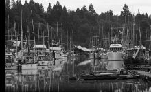 MSC179-28809-Thumbnail Image.jpg