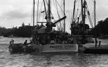 MSC179-29338-Thumbnail Image.jpg
