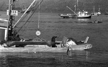 MSC179-29348-Thumbnail Image.jpg