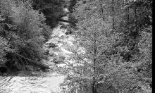 MSC179-30833-Thumbnail Image.jpg