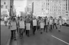 MSC179-33744-Thumbnail Image.jpg