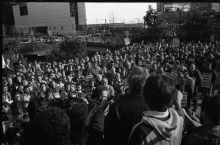 MSC179-33751-Thumbnail Image.jpg