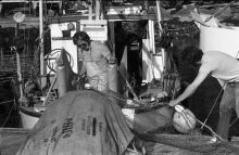 MSC179-34809-Thumbnail Image.jpg