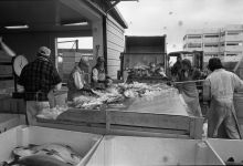MSC179-35975-Thumbnail Image.jpg