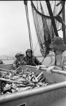 MSC179-37460-Thumbnail Image.jpg