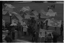 1001_31-Thumbnail Image.jpg