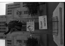 1045_31-Thumbnail Image.jpg