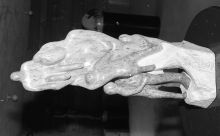 1754_24A-Thumbnail Image.jpg