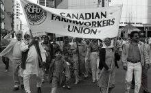 1778_6A-Thumbnail Image.jpg