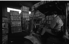 188_11A-Thumbnail Image.jpg
