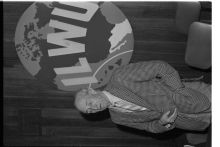 195_03-Thumbnail Image.jpg