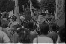 715_29A-Thumbnail Image.jpg