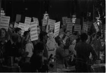 915_05-Thumbnail Image.jpg
