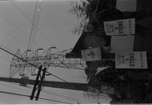 923_21-Thumbnail Image.jpg
