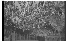 984_07-Thumbnail Image.jpg