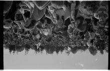 984_27-Thumbnail Image.jpg