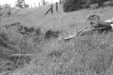 276210-Thumbnail Image.jpg