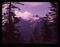 American Tomyhoi from ridge north of Can. [Canadian] Border Pk. [Peak], Aug. 27, 1961