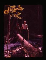 Crossing a creek - Ross Lake area, June 5, 1960