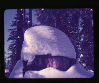 E. Winter in the mountains - "Snow Cap"