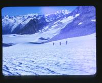 [Four people walking down a snow-covered area of a mountain]