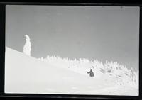 View on Mt. [Mount] Seymour, Mar. 1952