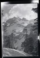Old Baldy [Mount Robie Reid] from east top of ridge, May 24, 1952