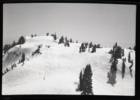 Mt. [Mount] Seymour - top of Brockton gully, Apr. 15, 1951